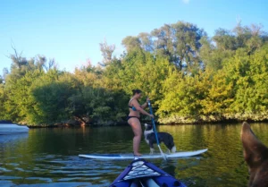 SUP03